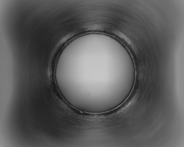 X0000099980922200806131356