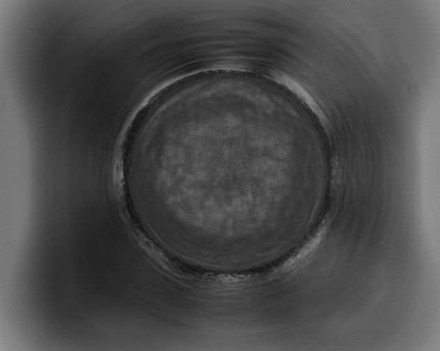 X0000099980923200806131356