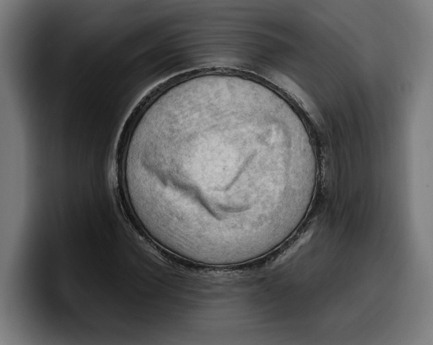 X0000099980924200806131356