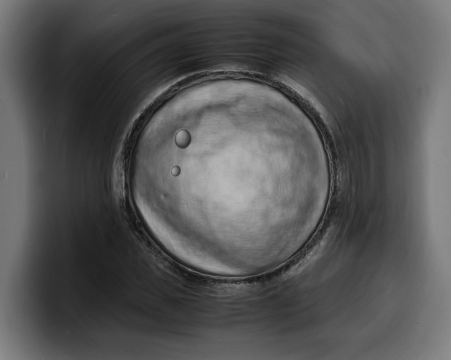 X0000099980925200806131356