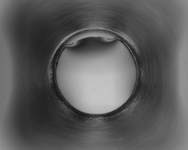 X0000099980926200806131356