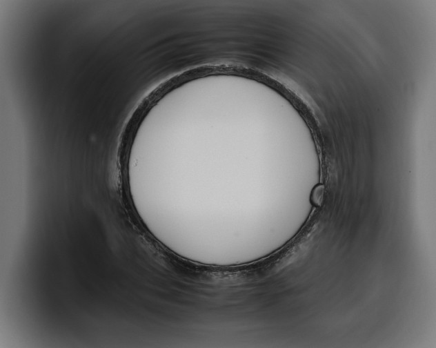 X0000099980927200806131356