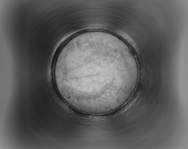 X0000099980928200806131356