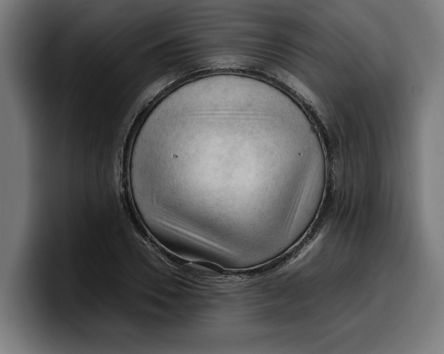 X0000099980930200806131356