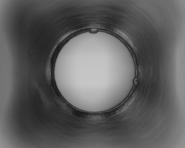 X0000099980931200806131356