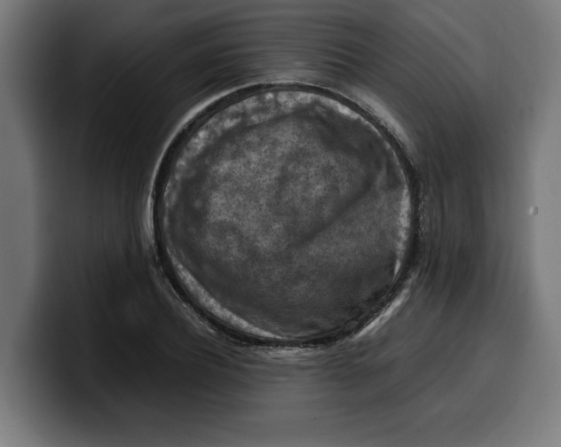 X0000099980932200806131356