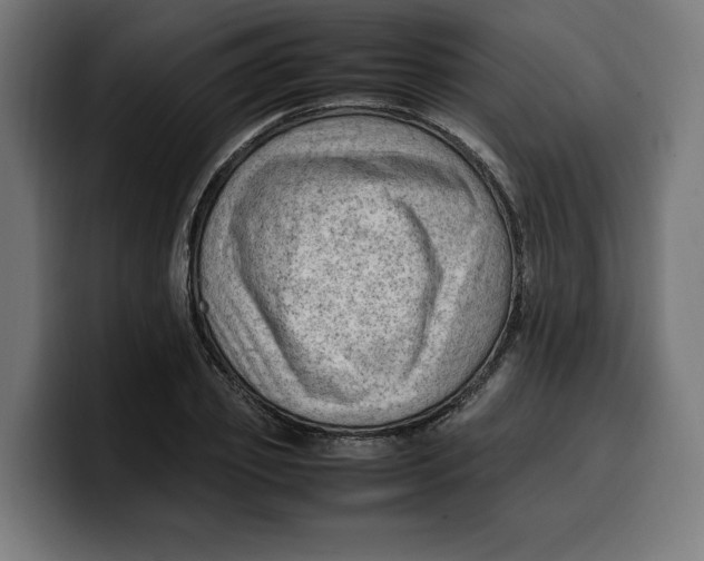 X0000099980933200806131356