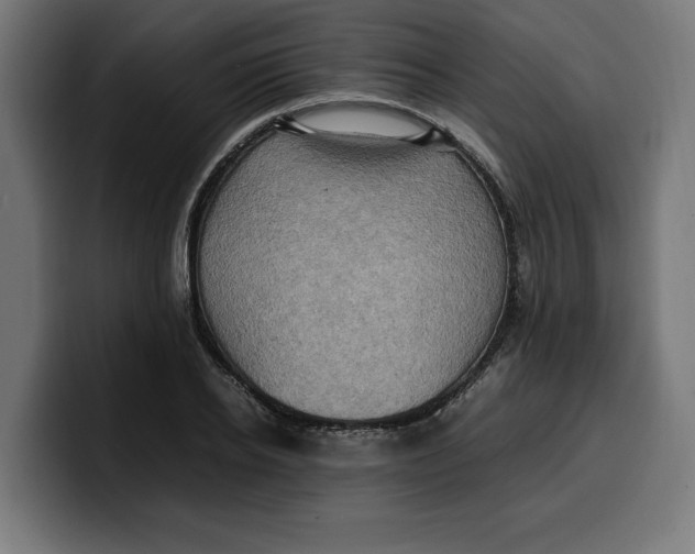 X0000099980934200806131356