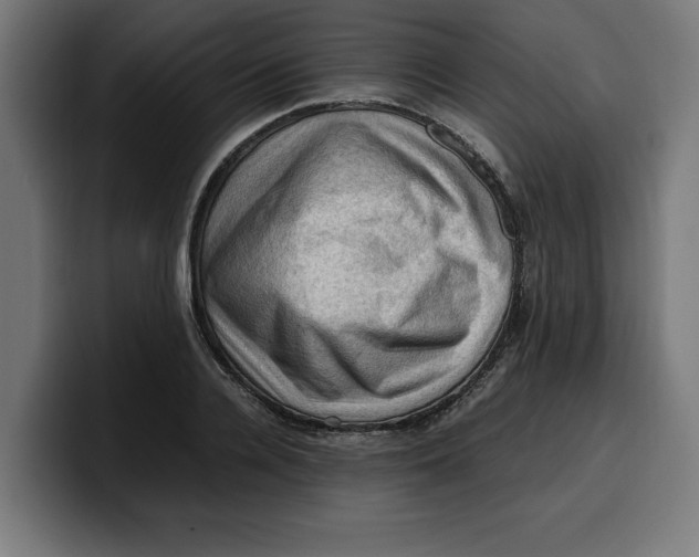 X0000099980936200806131356