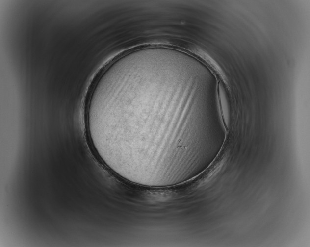 X0000099980939200806131356