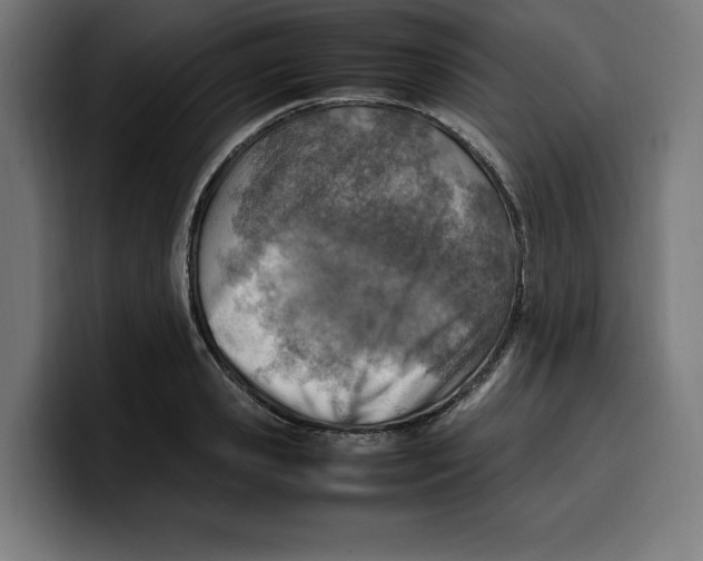 X0000099980941200806131356