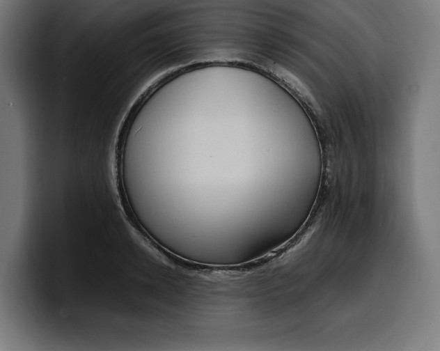 X0000099980942200806131356