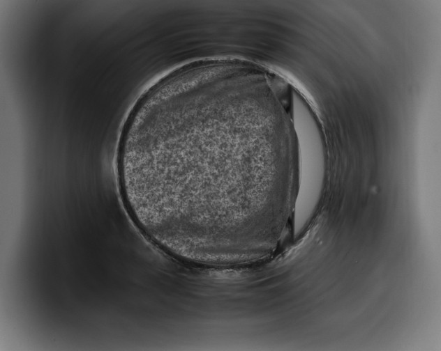 X0000099980943200806131356