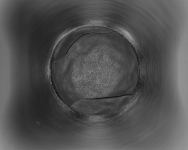 X0000099980944200806131356