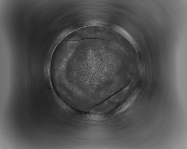 X0000099980946200806131356