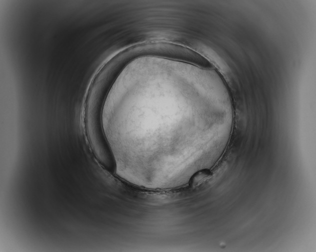 X0000099980948200806131356