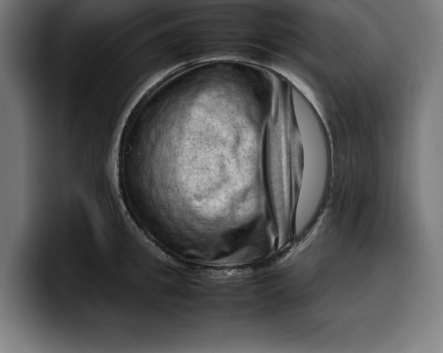 X0000099980949200806131356