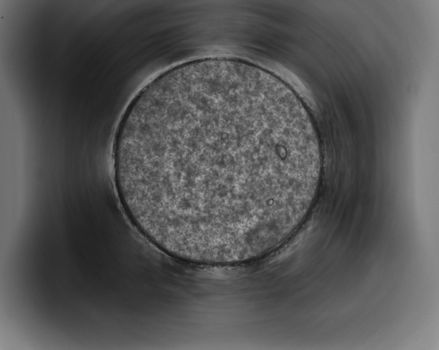 X0000099980950200806131356