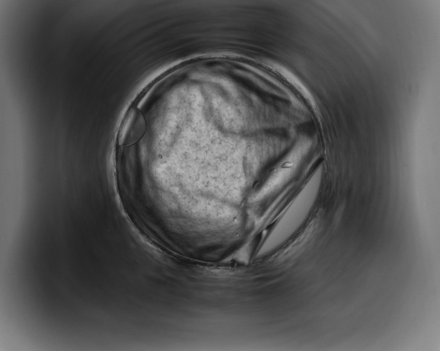 X0000099980951200806131356