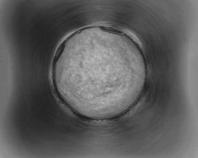 X0000099980952200806131356