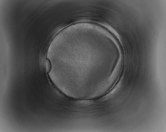 X0000099980953200806131356