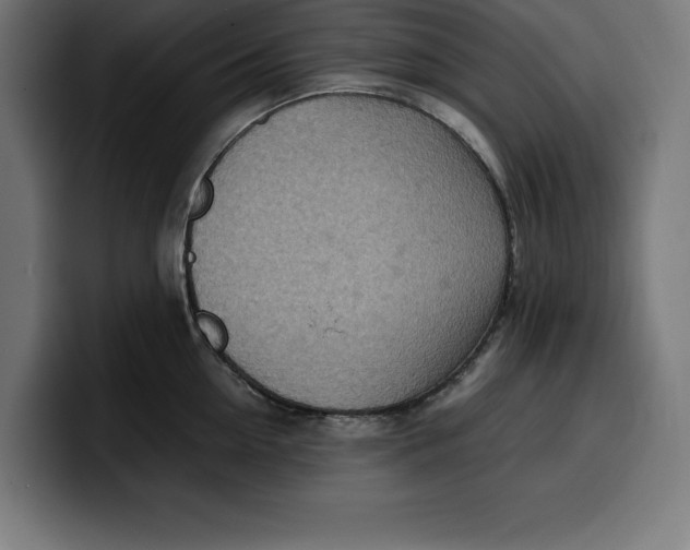 X0000099980954200806131356