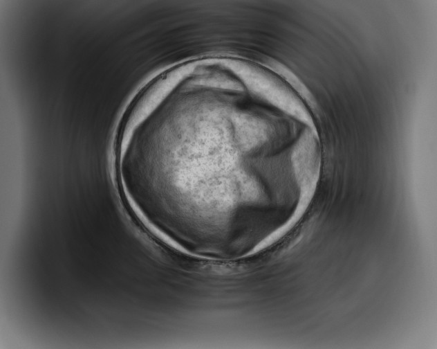 X0000099980955200806131356