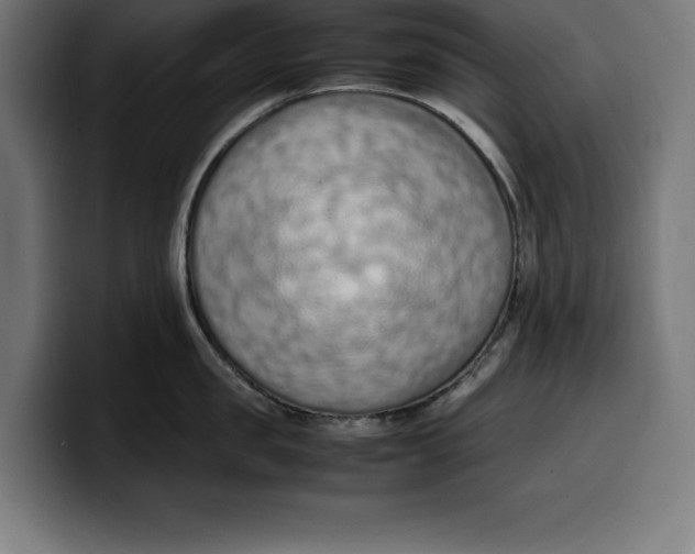 X0000099980957200806131356