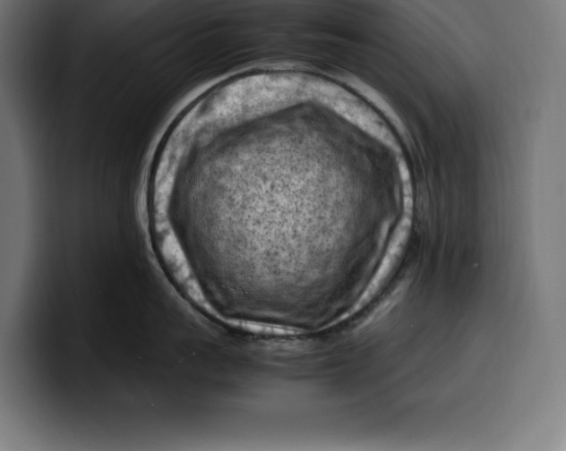 X0000099980959200806131356