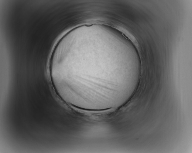 X0000099980960200806131356