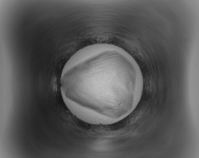 X0000099980962200806131356