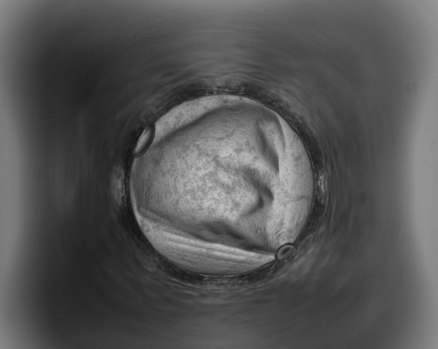 X0000099980963200806131356