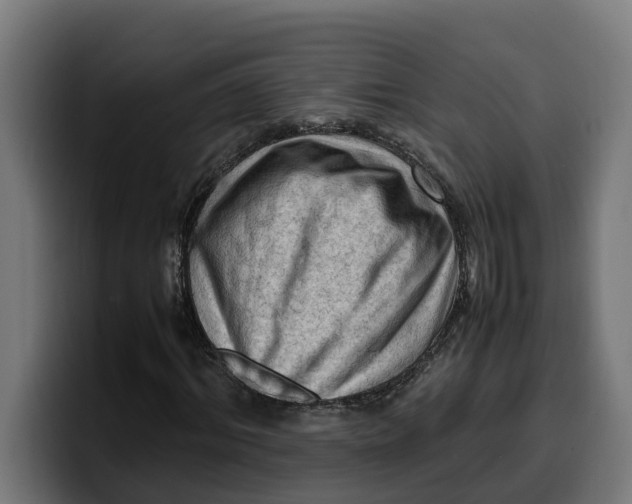 X0000099980964200806131356