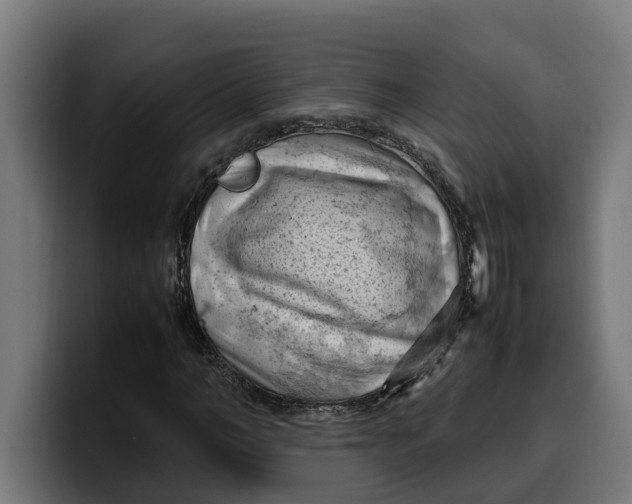 X0000099980966200806131356