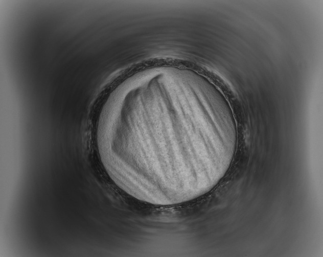 X0000099980968200806131356