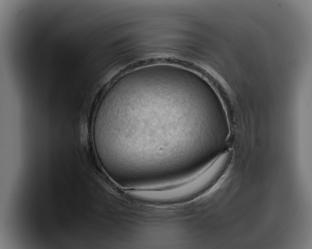 X0000099980969200806131356