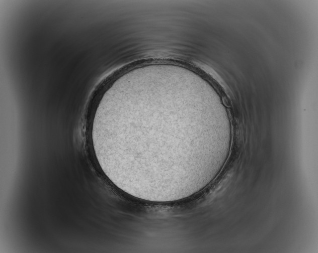 X0000099980971200806131356