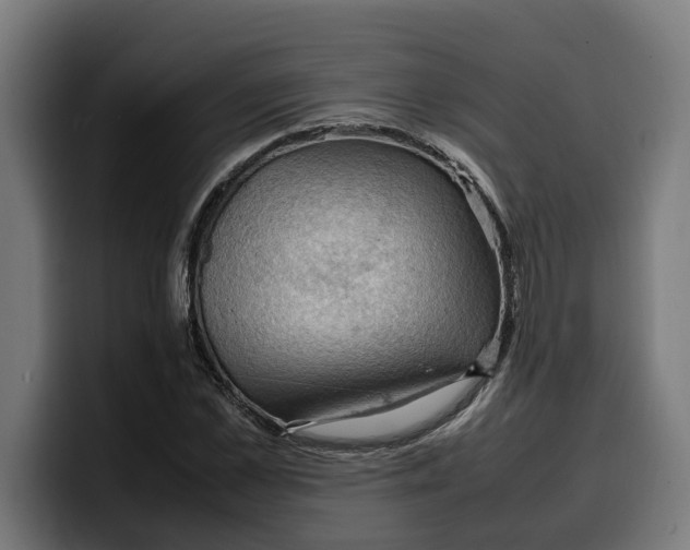 X0000099980973200806131356