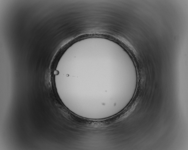 X0000099980974200806131356