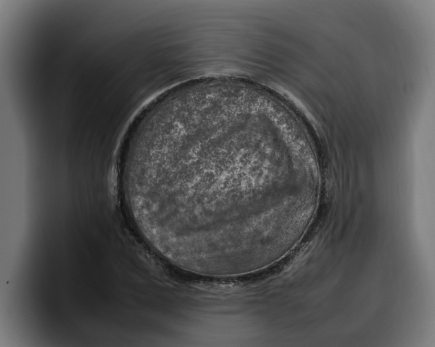 X0000099980975200806131356