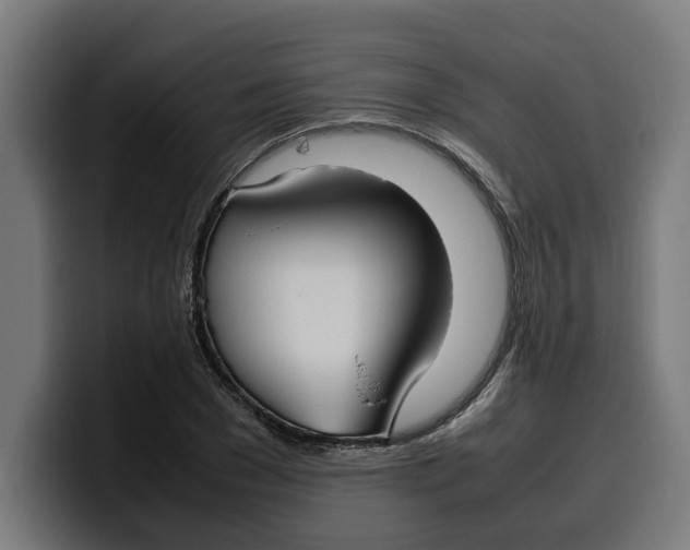 X0000099980977200806131356