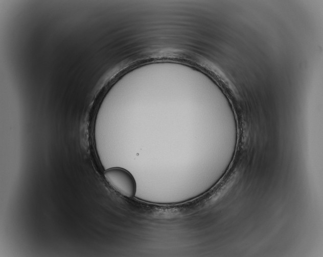 X0000099980978200806131356