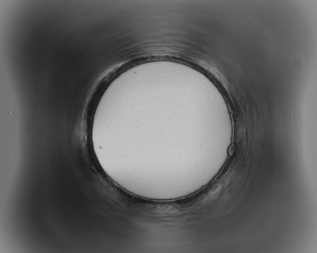 X0000099980979200806131355