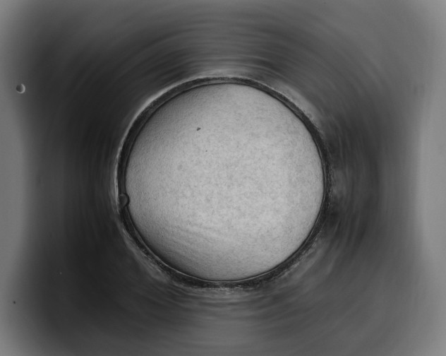 X0000099980980200806131355