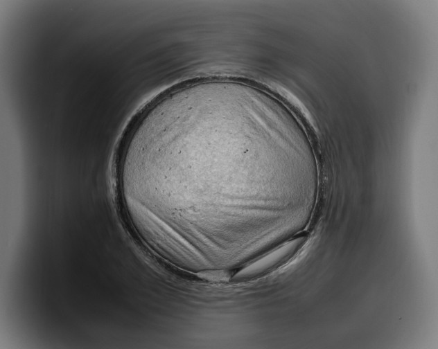 X0000099980981200806131355