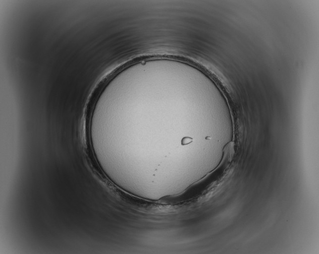 X0000099980982200806131355