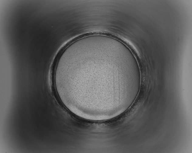 X0000099980983200806131355