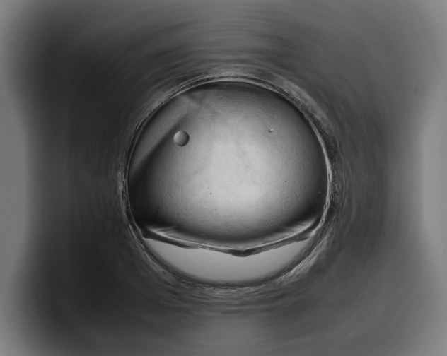 X0000099980985200806131355