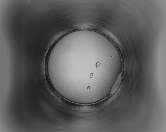 X0000099980986200806131355