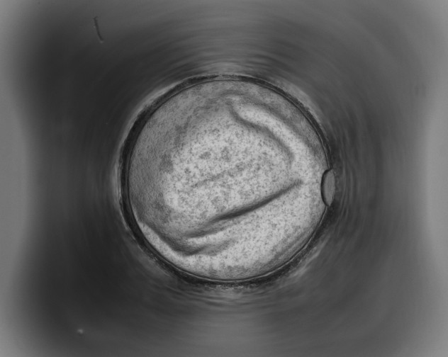 X0000099980987200806131355